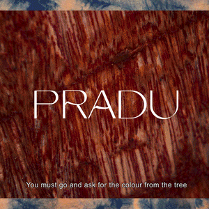 
            
                Load image into Gallery viewer, Pradu Indigo Process - Philip Huang
            
        